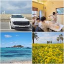 차놀자렌터카 | 제주도 렌트카 가격비교 팰리세이드 7인승 돌하루팡 추천 아이와 제주 여행 2박 3일 코스