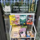 보들하이 | 울산 동구 포메라니안 미용 추천 애견미용실 보들하이