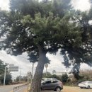 옹포리 경로당 이미지