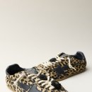 스피드플라워 이미지