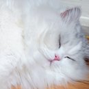폴리파크 칠곡점 네이버블로그