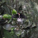 서정농장 이미지