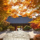 스튜디오 월영 | 🍁 천년 역사 위에 내려앉은 가을 | 경주 단풍 명소 완벽 가이드