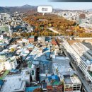 종묘 vs 日왕궁 인근 풍경…서울∙도쿄 도심 엇갈린 20년 [종묘 앞 개발 갈림길] 이미지