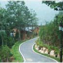 반딧불 자연휴양림 이미지