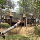 숲속공원놀이터 이미지