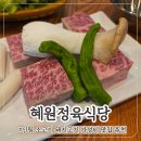 혜원고기식당 | 신림 맛집 소고기 돼지고기 가성비 미친 고깃집 추천 혜원정육식당