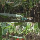 오리사냥 2 이미지