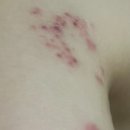 하얀드림피부과의원 이미지