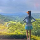 세븐골프 이미지