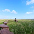 솟대광장 화장실 이미지