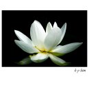 이응노생가기념관 이미지