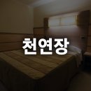 천연장