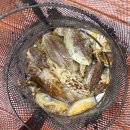 태안호스릴-17 | 마검포 자연피싱호 사이즈 좋아지는 갑오징어 배낚시 후기 [25.09.19]