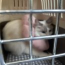 샘마루동물병원 이미지