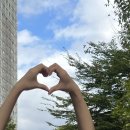 부여중학교 | # 42 : 함께하는 추억이 쌓이고 쌓여