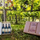 주식회사 로제 이미지