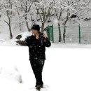 겨울연가