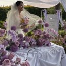 덕기농장 이미지