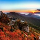 숲속의바다 숲속동 이미지