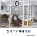 퐝퐝 | 칠곡 아이와 가볼만한 곳 ! 무인키즈카페 퐝퐝 생생 후기
