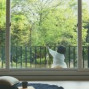 STAY. 보성 이미지