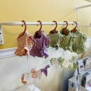 페어리몽드 이미지