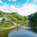 하방소 포레스트 이미지