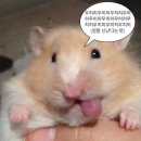 바람꽃공방 | 🦋🍀지브리맛 여름휴가 in 부안 ⛱️☀️🍉