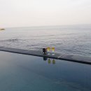 오션비치스파애견펜션 이미지