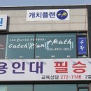 용인대필승태권도 이미지