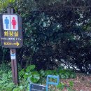 씨유 민락꽃내음점 | 짧지만 볼거리 가득한 제주 올레 5코스, 짧은 산책으로도 좋은 힐링코스 (남원~쇠소깍)