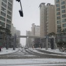 경포천로 이미지