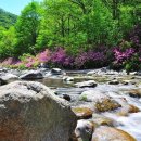 일성목장 이미지