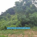 삼삼공인중개사사무소 이미지
