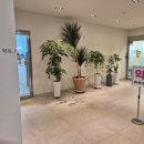 체크체크첵첵의원 | 광주종합건강검진 오케이검진센터 검진후기