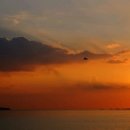 그곳에반하다 이미지