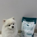 진성사료 이미지