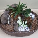 반려식물 원예화분 공예 이미지