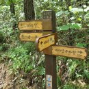 (주)홍이관광