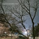 고요의계절 이미지