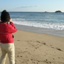 동해바다 이미지