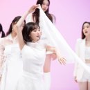 앨리스(Alice) - 진천군 | 앨리스(Alice)