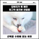 덴탈더드림 | 강아지가 푹 빠진 와그작 밀크본 덴탈껌 :: 선택할 수밖에 없는 이유