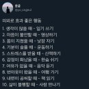 대왕아쿠아랜드 | 2025년 7월 세 번째 일상