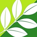 대한꽃농원 이미지