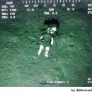 인형의 거리(말) 이미지