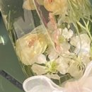 러브올리
