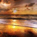 현대백화점 울산 와코루 이미지