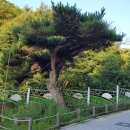 선문사 티스토리